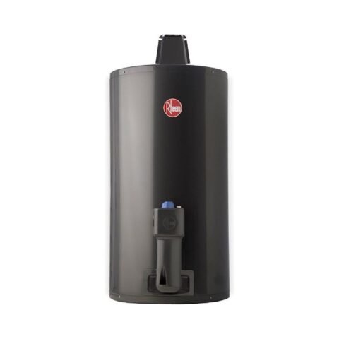 Termotanque a Gas Rheem 80lts TGNC080RH