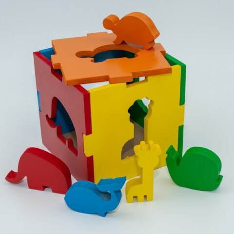 Cubo Fauna Kurimi