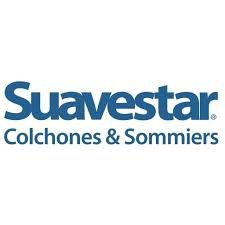 Almohada Suavestar conquistar fibra 70x44 cm - Imagen 2