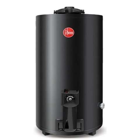Termotanque a gas Rheem 80 litros TGNP080RH pie