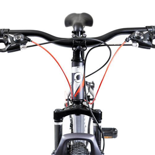 Bicicleta Olmo 29" Wish