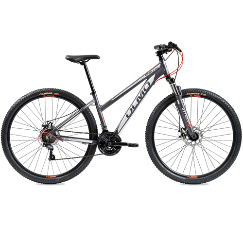 Bicicleta Olmo 29" Wish